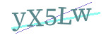 CAPTCHA verification code