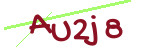 CAPTCHA verification code