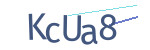 CAPTCHA verification code