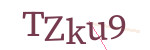 CAPTCHA verification code