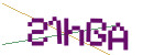 CAPTCHA verification code