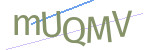CAPTCHA verification code