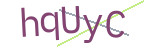 CAPTCHA verification code