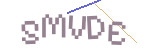 CAPTCHA verification code