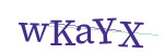CAPTCHA verification code