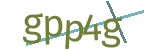 CAPTCHA verification code