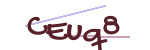 CAPTCHA verification code