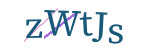 CAPTCHA verification code