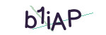 CAPTCHA verification code